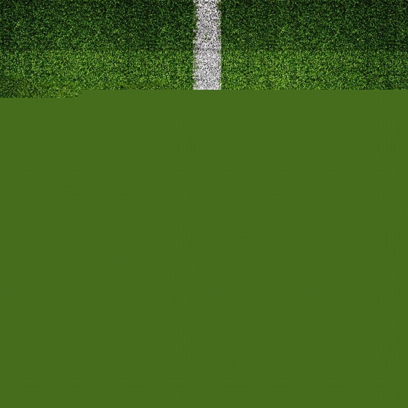 样性